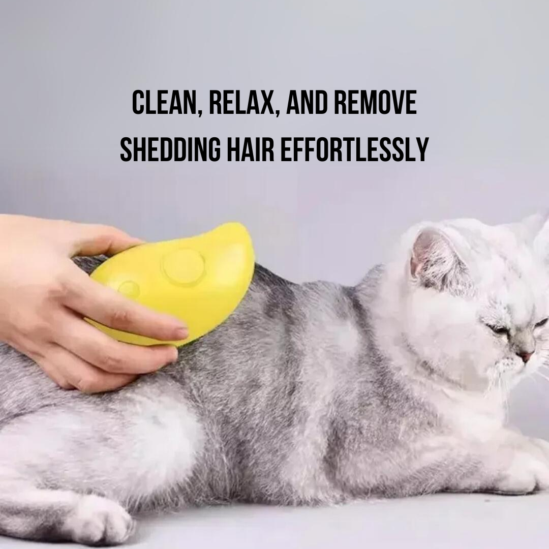 Pet Brush