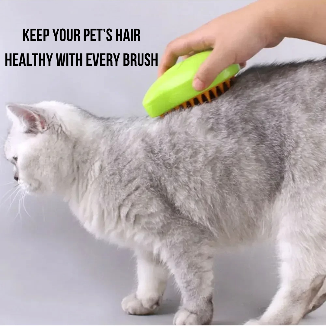 Pet Brush