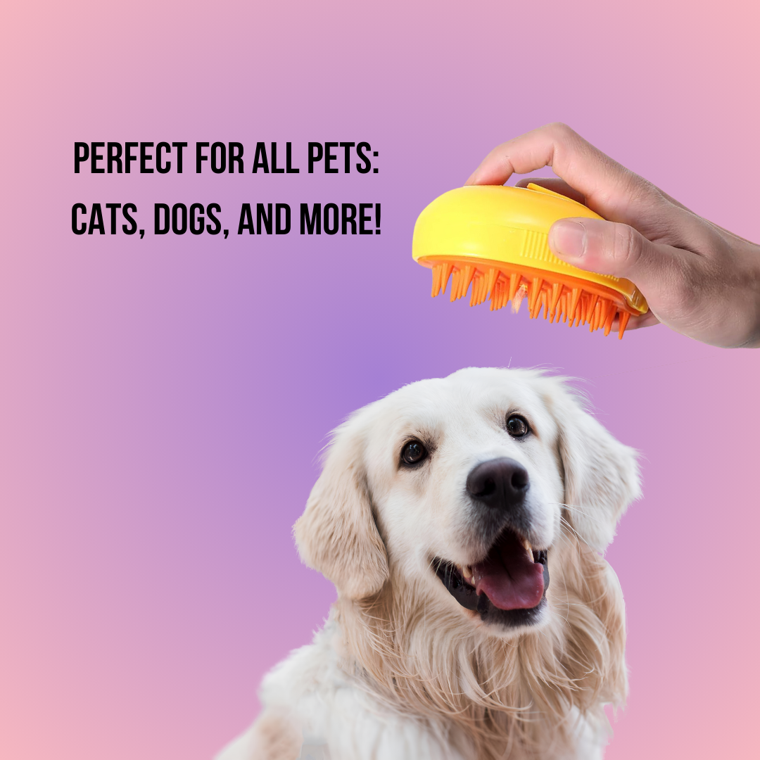 Pet Brush