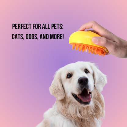 Pet Brush